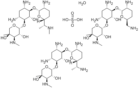 Gentamycin sulphate