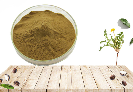 Dandelion Root Extract