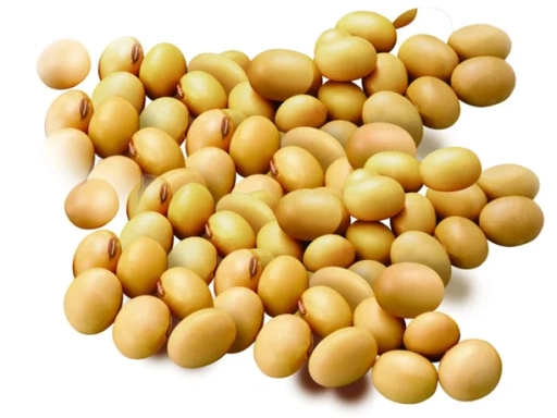 Soyabean extract oil(60% β-sitosterol)