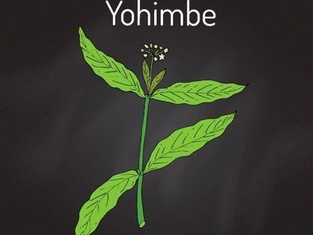 Yohimbe Extract