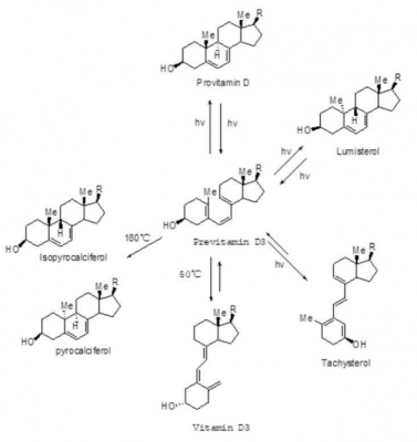 Vitamins Premixes