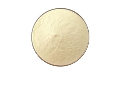 Hydrolysed soy protein