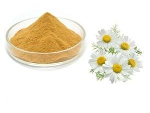 Chamomile Extract